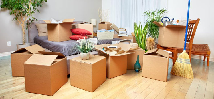 Apartment Move-in Services Damac Hills