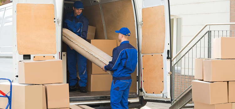 Our Local Moving Services Zayed City