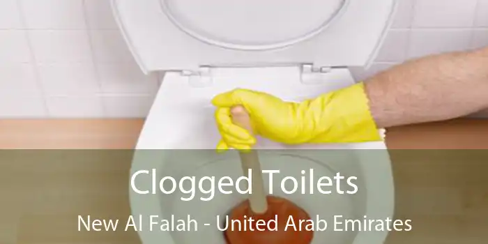 Clogged Toilets New Al Falah - United Arab Emirates