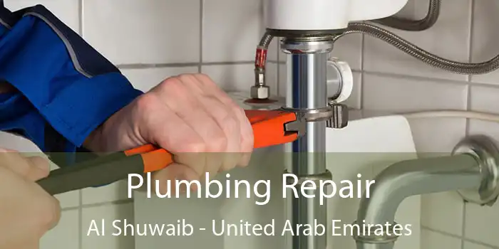 Plumbing Repair Al Shuwaib - United Arab Emirates