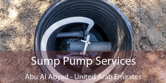 Sump Pump Services Abu Al Abyad - United Arab Emirates