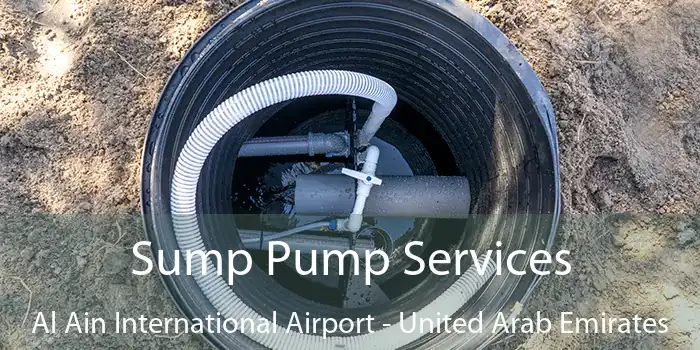 Sump Pump Services Al Ain International Airport - United Arab Emirates