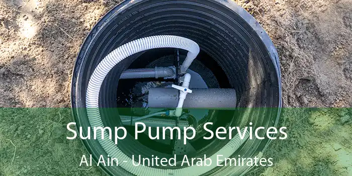 Sump Pump Services Al Ain - United Arab Emirates