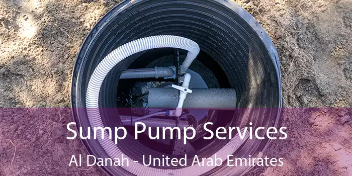 Sump Pump Services Al Danah - United Arab Emirates