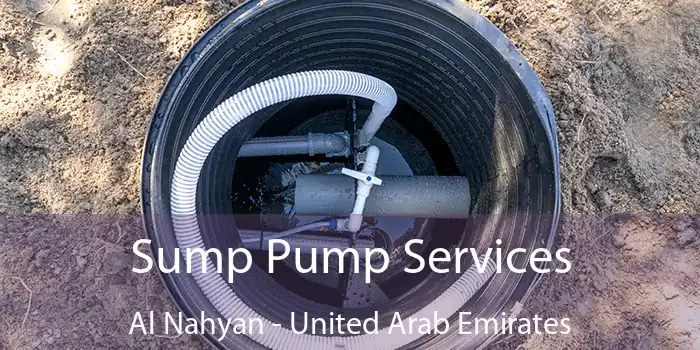 Sump Pump Services Al Nahyan - United Arab Emirates