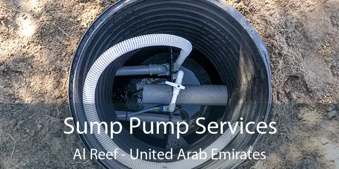 Sump Pump Services Al Reef - United Arab Emirates