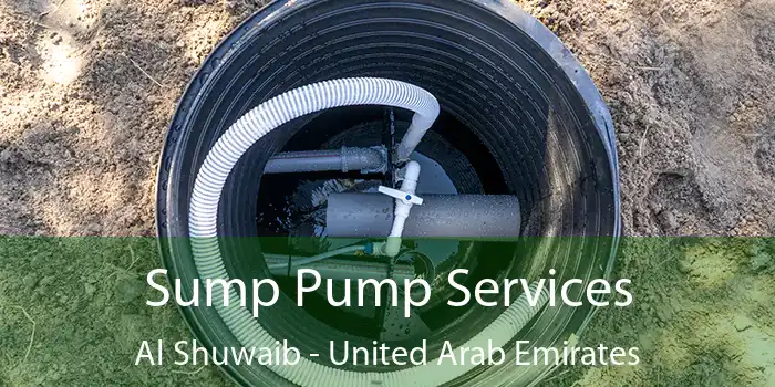 Sump Pump Services Al Shuwaib - United Arab Emirates