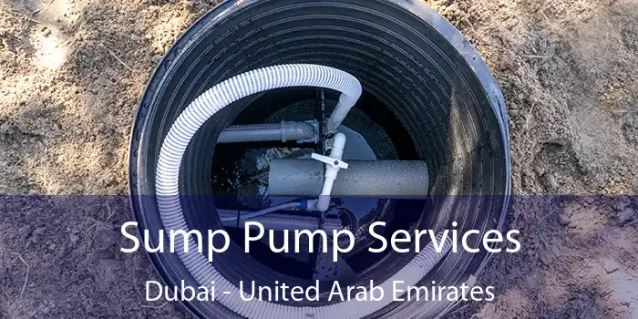 Sump Pump Services Dubai - United Arab Emirates