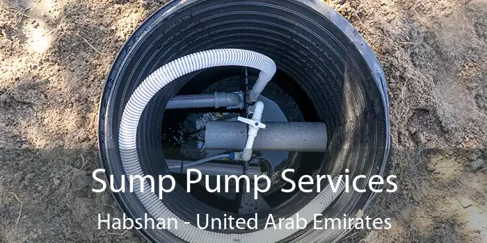 Sump Pump Services Habshan - United Arab Emirates