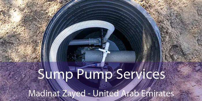 Sump Pump Services Madinat Zayed - United Arab Emirates