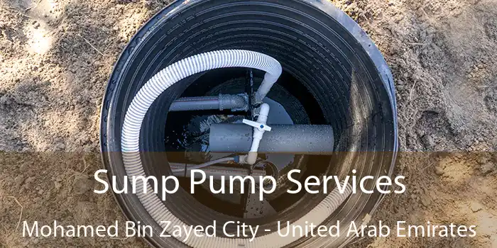 Sump Pump Services Mohamed Bin Zayed City - United Arab Emirates