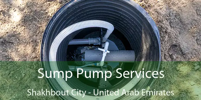 Sump Pump Services Shakhbout City - United Arab Emirates