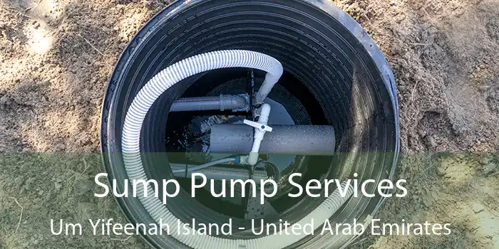 Sump Pump Services Um Yifeenah Island - United Arab Emirates