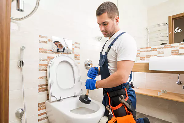 Clogged Toilets