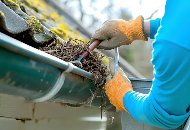 Trusted Experts for Gutter Cleaning