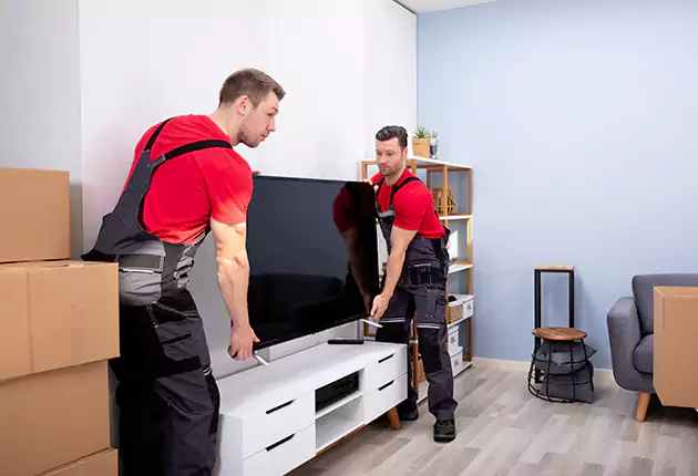 Professional TV Installation Experts